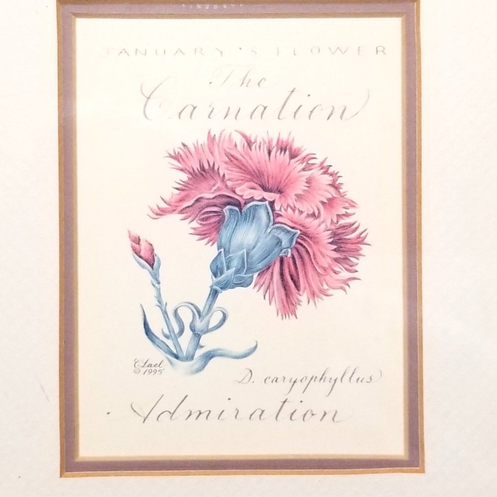 Vintage Gold Frame Carnation January's Flower: Timeless Botanical Elegance 1995 - Picture 12 of 12